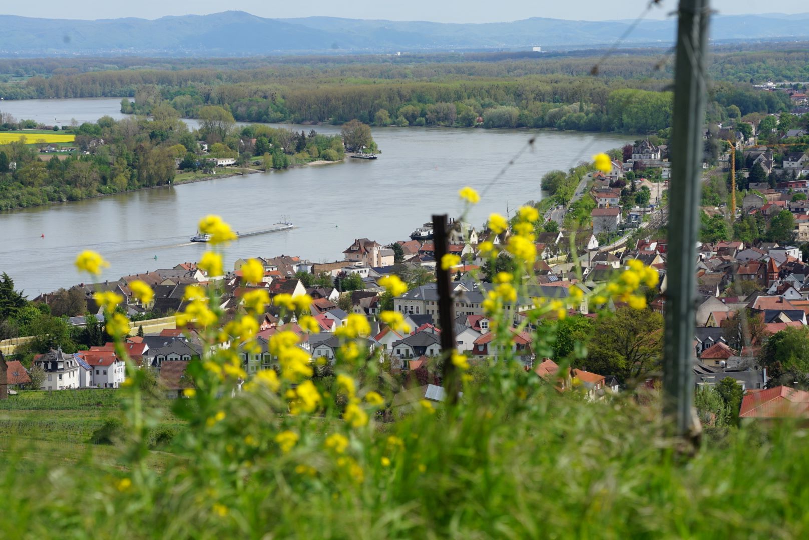 Udsigt over Nierstein fra Rote Hang